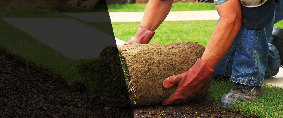 La Conner Landscapers